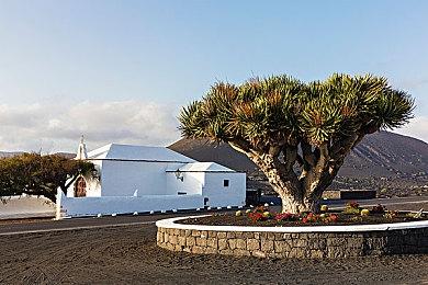 目前《荒野大镖客2》游戏中正在下雪