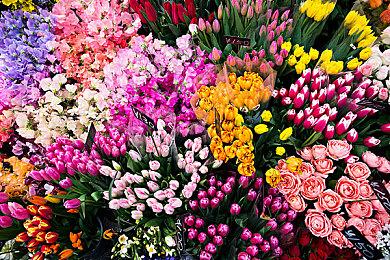 《刺客信条：影》赞誉宣传片 感谢媒体和玩家支持