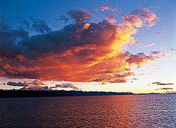 《星空》的NPC笑容太假？一名开发者找到了原因